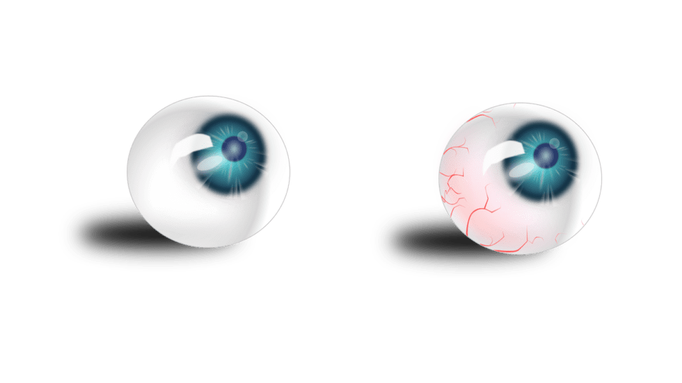 COMPRENDRE LE FONCTIONNEMENT DE L